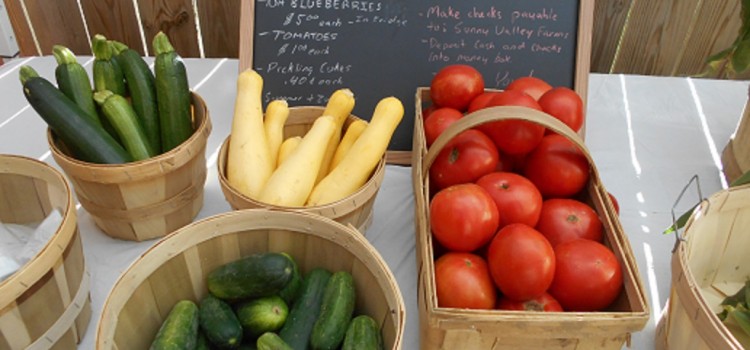 Get your Hubby&kids to Love zucchini