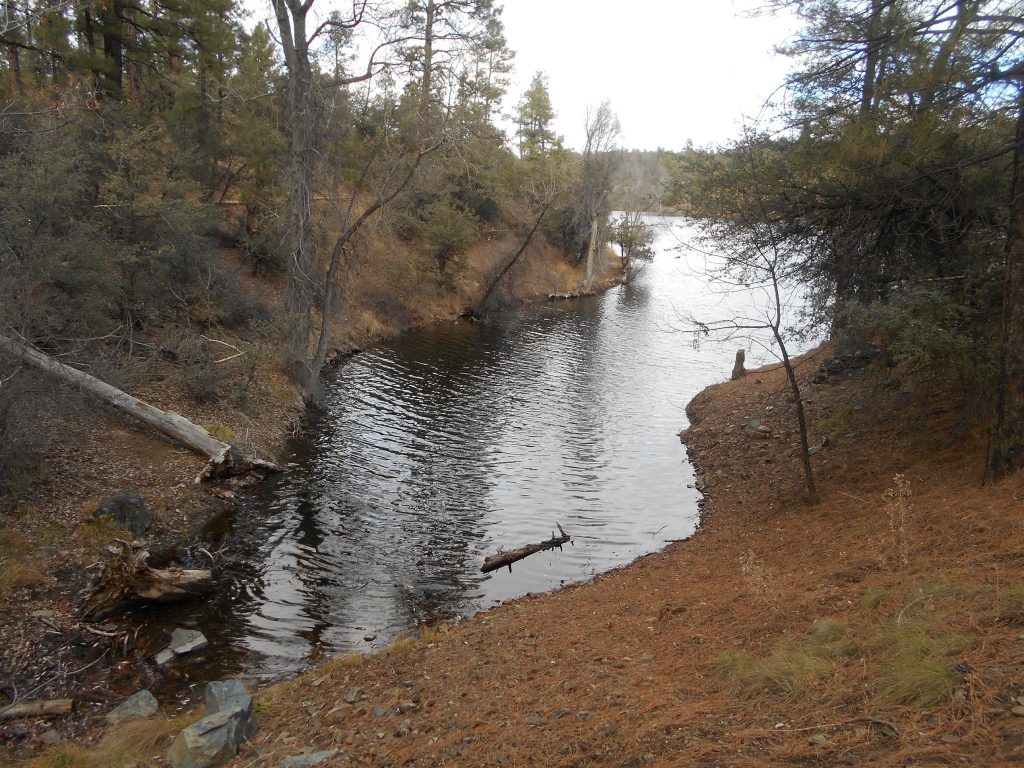 Nature walk