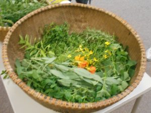 A basket of herbs for herbal tea