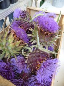 Artichokes show the liver love