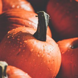 Whole Local Seasonal Food Try Pumpkin this Fall