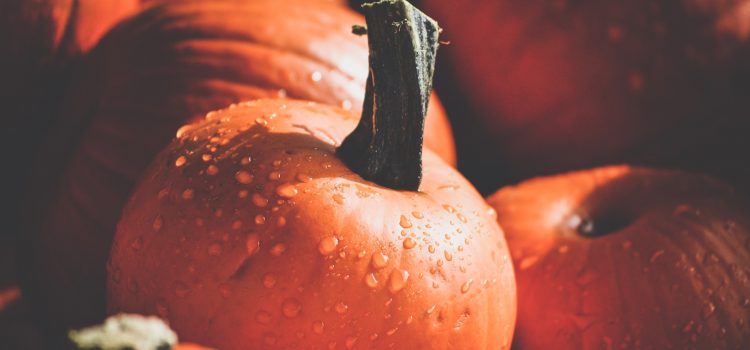 pumkin is a fall food