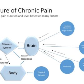 Lyme Pain Confounds And Confuses Contain It