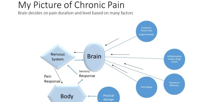 Lyme Pain Confounds And Confuses Contain It