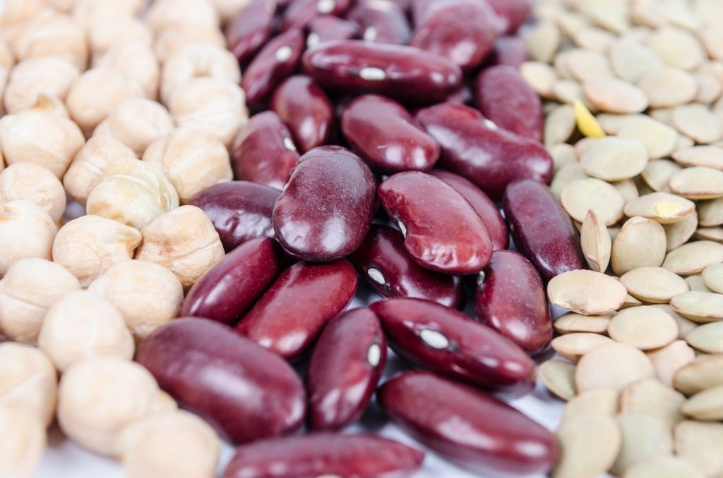 Beans are high lectin foods