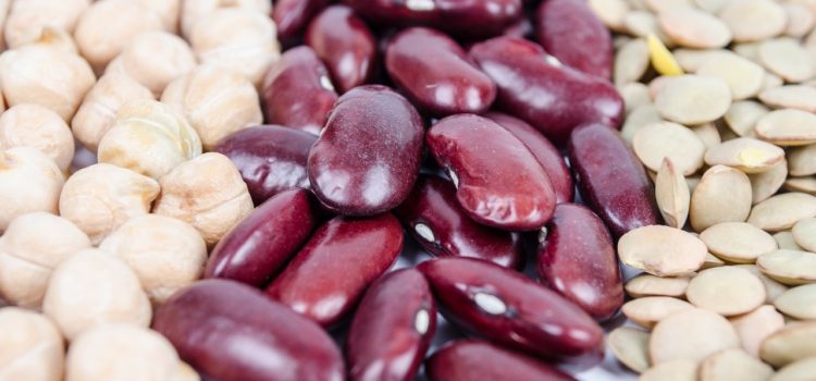 Beans are high lectin foods